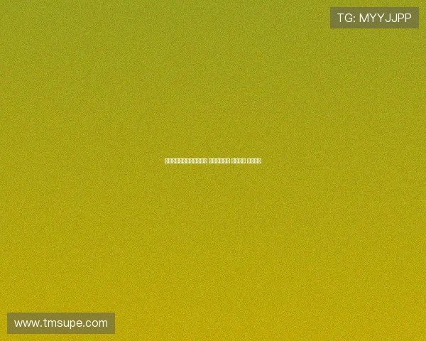 中越五省书记共商合作新篇 聚焦互联互通 产业共兴 边境共荣